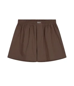 Boxer in Cedar