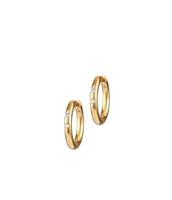 Brigitte Hoops
