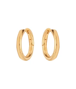 Large Tunnel Hoop in Gold