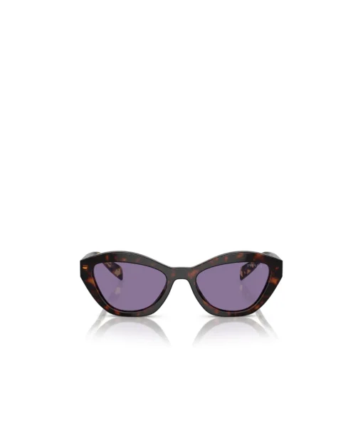 Prada Cat Eye Sunglasses in Tortoise