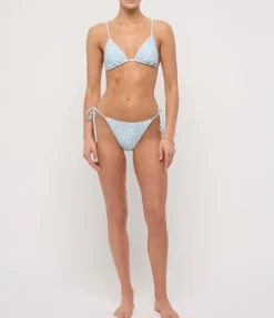 String Tri in Paper Daisy
