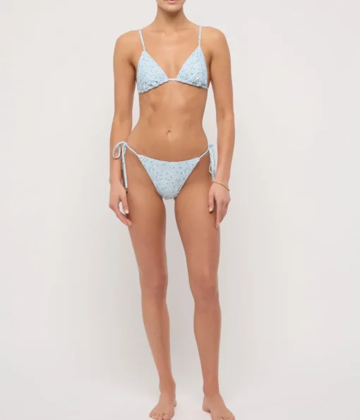String Tri in Paper Daisy